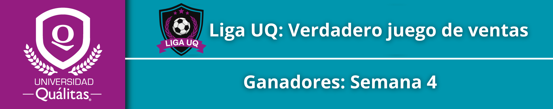 Liga UQ Verdadero juego de ventas (15)