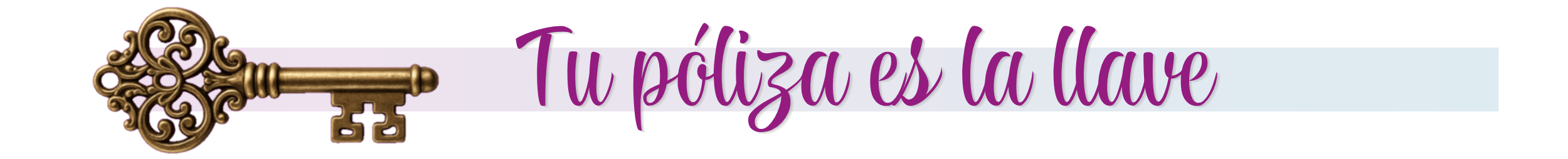 banner póliza